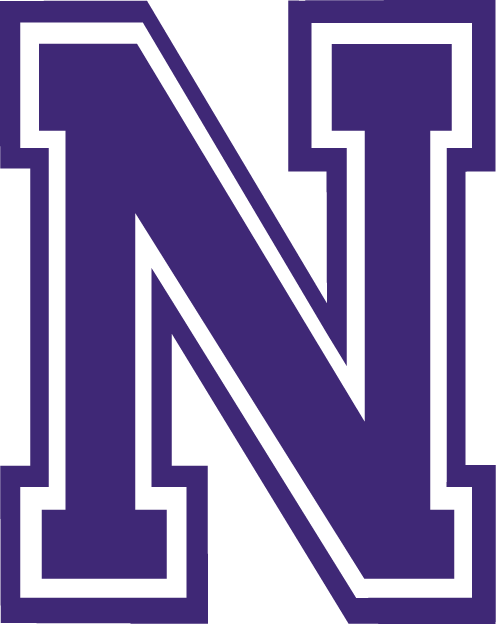 Northwestern State Demons 2000-2007 Alternate Logo DIY iron on transfer (heat transfer)